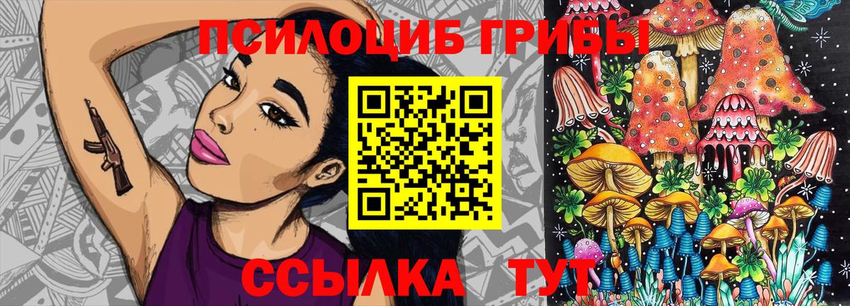Сухой Лог  Галлюциногенные грибы мухоморы  Псилоцибиновые грибы мицелий  Вход с VPN 