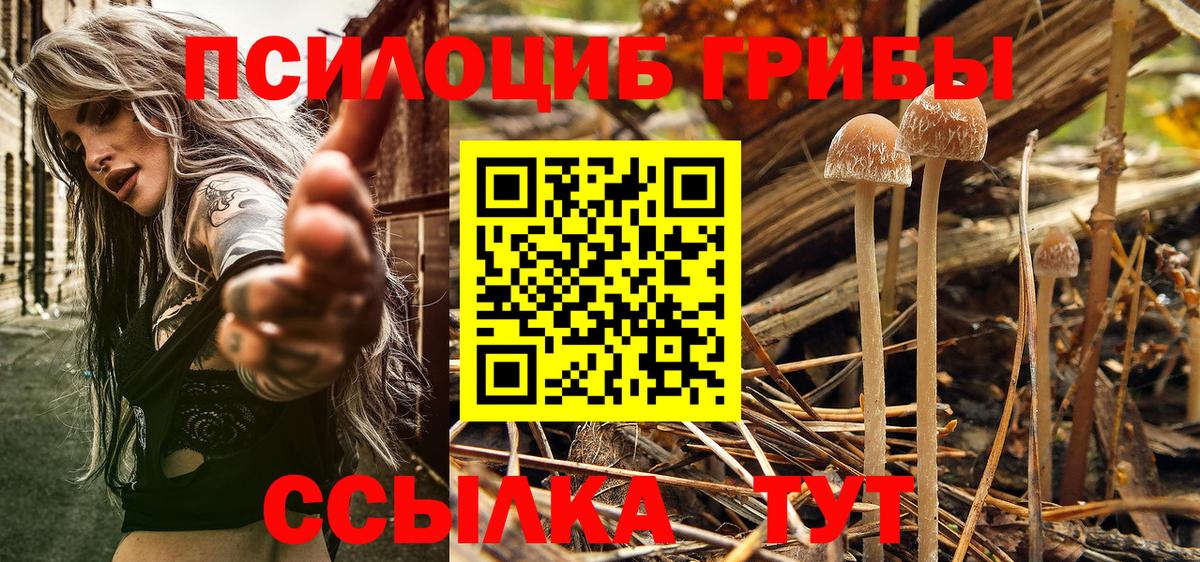 Галлюциногенные грибы MAGIC MUSHROOMS Сухой Лог